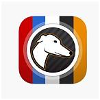 greyhound bet android app